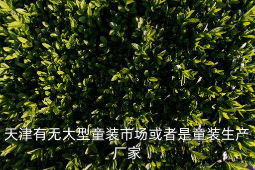 天津有無大型童裝市場或者是童裝生產廠家