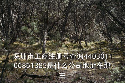 深圳市工商注冊號查詢440301106861385是什么公司地址在那主