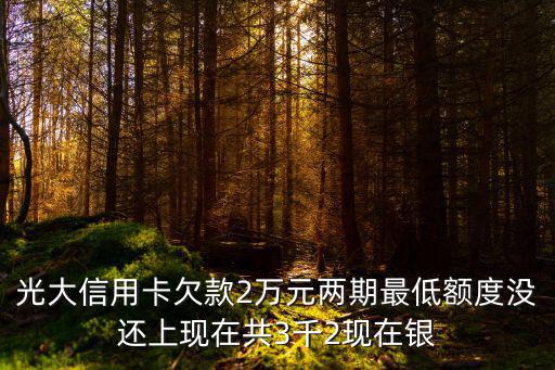 光大信用卡欠款2萬(wàn)元兩期最低額度沒(méi)還上現(xiàn)在共3千2現(xiàn)在銀