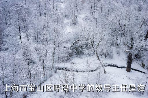 上海市寶山區呼瑪中學的教導主任是誰
