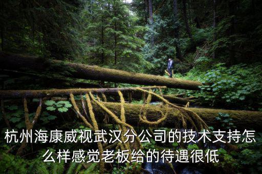 杭州海康威視武漢分公司的技術支持怎么樣感覺老板給的待遇很低