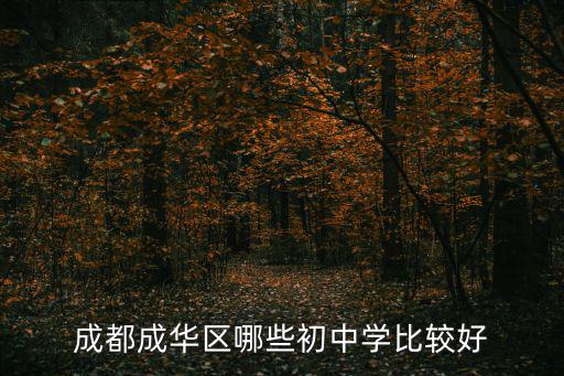 成都成華區哪些初中學比較好