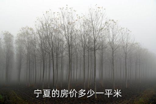 寧夏的房價多少一平米