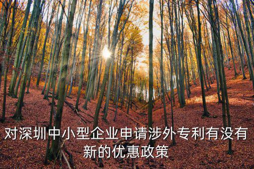 對深圳中小型企業申請涉外專利有沒有新的優惠政策