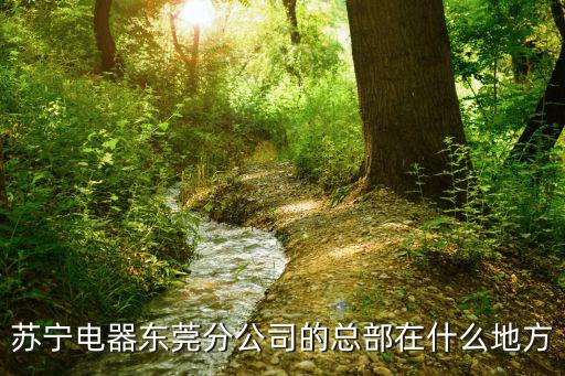 東莞南城總部，請問誰知道悅客盟總部的具體地址