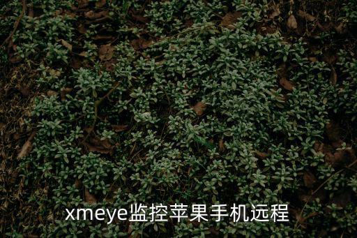 xmeye監控蘋果手機遠程