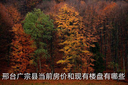 邢臺廣宗縣當(dāng)前房價和現(xiàn)有樓盤有哪些