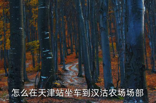 怎么在天津站坐車到漢沽農(nóng)場場部