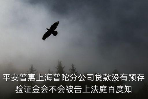 上海市普陀區投資理財平安普惠，平安普惠上海普陀分公司貸款沒有預存驗證金會不會被告上法庭百度知