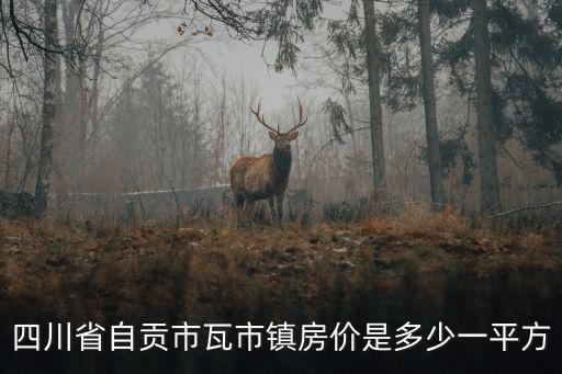 四川省自貢市瓦市鎮(zhèn)房?jī)r(jià)是多少一平方