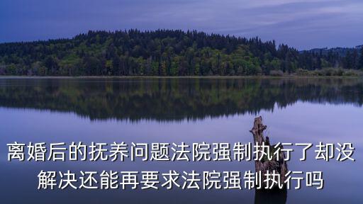 離婚后的撫養(yǎng)問題法院強(qiáng)制執(zhí)行了卻沒解決還能再要求法院強(qiáng)制執(zhí)行嗎