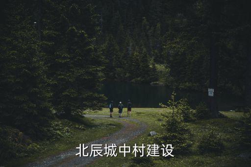 北辰城中村建設
