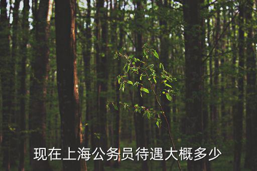 上海市公務員工資收入，上海公務員工資一般是多少