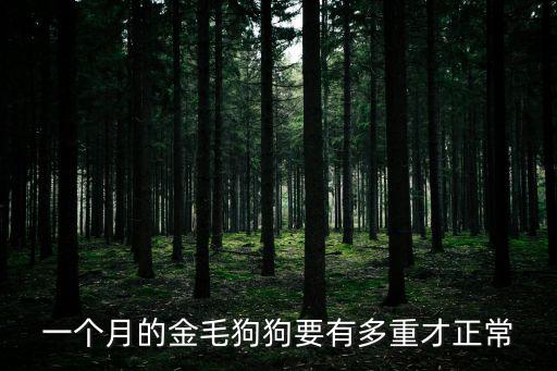 金毛滿月正常多少斤，一個月的金毛狗狗要有多重才正常