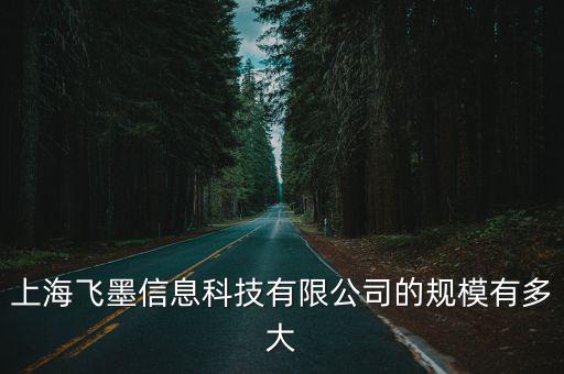 上海飛墨信息科技有限公司的規(guī)模有多大