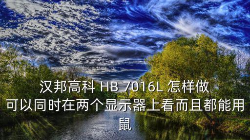 漢邦高科 HB 7016L 怎樣做可以同時在兩個顯示器上看而且都能用鼠