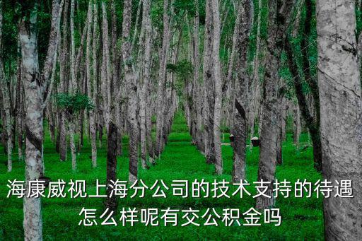 海康威視上海分公司的技術支持的待遇怎么樣呢有交公積金嗎