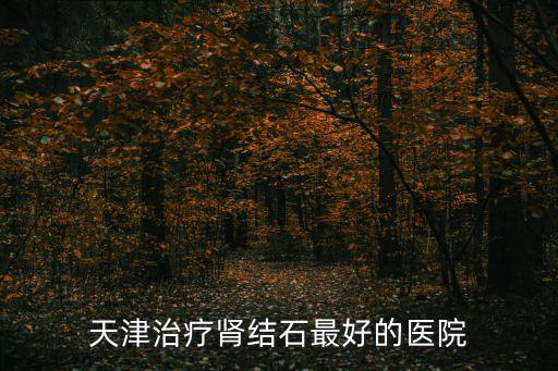 天津治療腎結石最好的醫院
