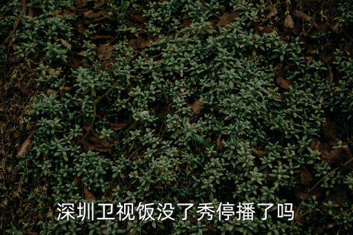 深圳衛(wèi)視飯沒了秀停播了嗎