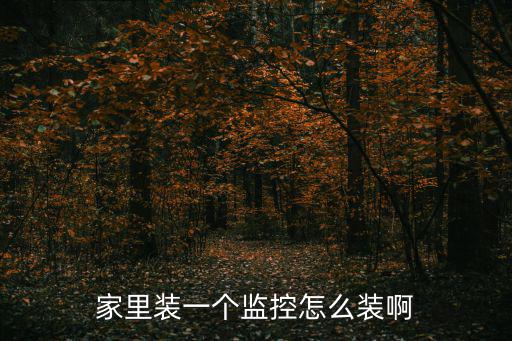 家里裝一個監(jiān)控怎么裝啊