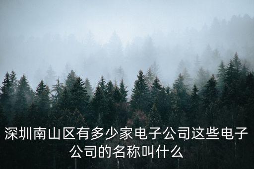 深圳南山區有多少家電子公司這些電子公司的名稱叫什么