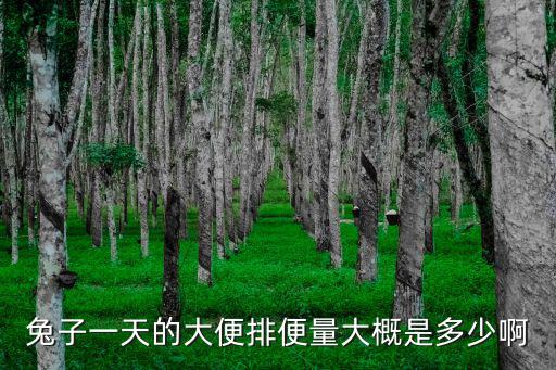 兔子一天的大便排便量大概是多少啊
