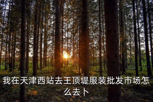 天津市到王頂堤市場，我在天津西站去王頂堤服裝批發市場怎么去卜