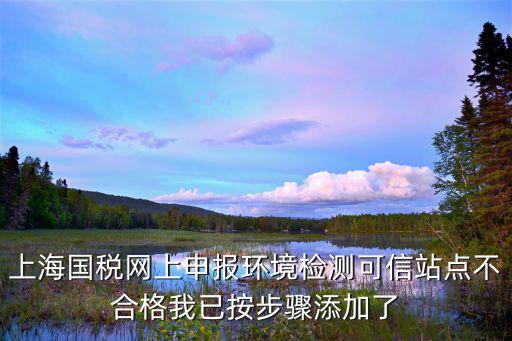 上海國稅網上申報環境檢測可信站點不合格我已按步驟添加了