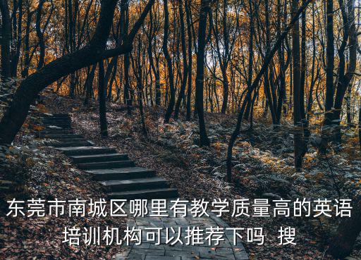 東莞市南城區(qū)哪里有教學質(zhì)量高的英語培訓機構可以推薦下嗎  搜