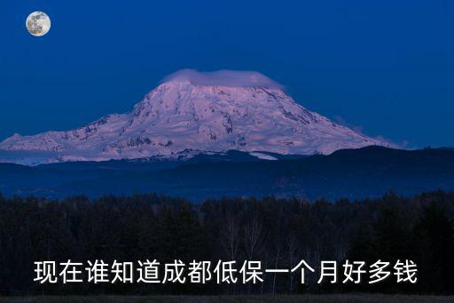 現在誰知道成都低保一個月好多錢
