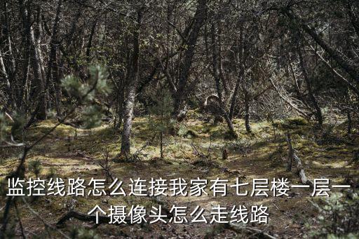 監控線路怎么連接我家有七層樓一層一個攝像頭怎么走線路