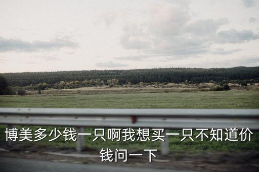 金色博美能賣多少錢，這只博美值多少錢