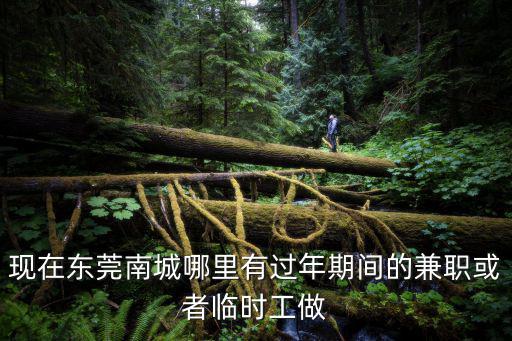 現(xiàn)在東莞南城哪里有過年期間的兼職或者臨時工做