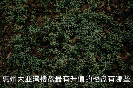 惠州大亞灣樓盤最有升值的樓盤有哪些