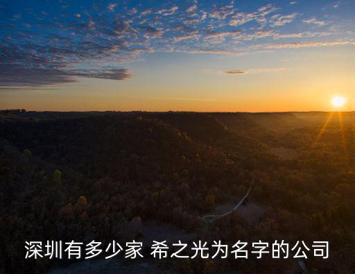 深圳有多少家 希之光為名字的公司