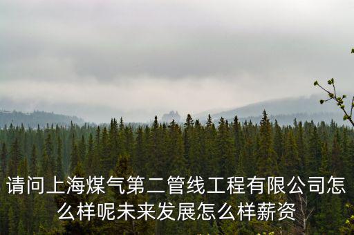 第二屆上海市社會(huì)創(chuàng)新項(xiàng)目，2010年上海博覽會(huì)開(kāi)創(chuàng)的兩個(gè)全新項(xiàng)目