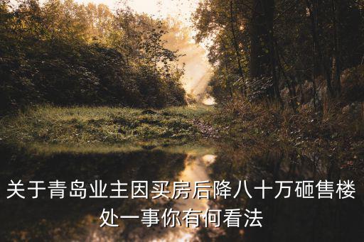 關于青島業(yè)主因買房后降八十萬砸售樓處一事你有何看法