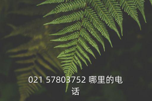 上海市松江區葉榭鎮新葉小學電話，松江新葉小學是公辦學校嗎