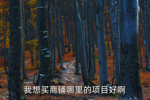 銅陵和六安哪個房價貴點，我想買商鋪哪里的項目好啊