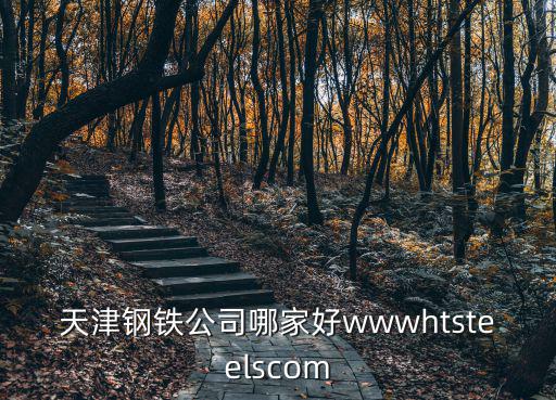 天津鋼鐵公司哪家好wwwhtsteelscom