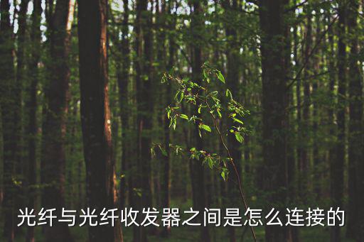 光纖與光纖收發器之間是怎么連接的
