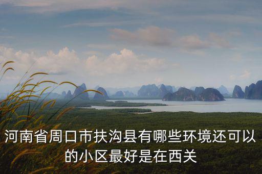河南省周口市扶溝縣有哪些環(huán)境還可以的小區(qū)最好是在西關(guān)