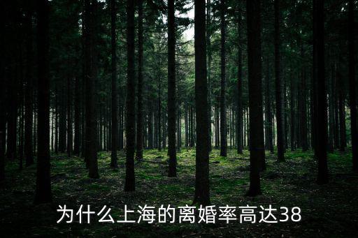 上海市浦東新區離婚率，為什么上海的離婚率高達38