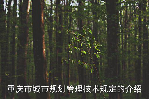重慶市城市規劃管理技術規定的介紹
