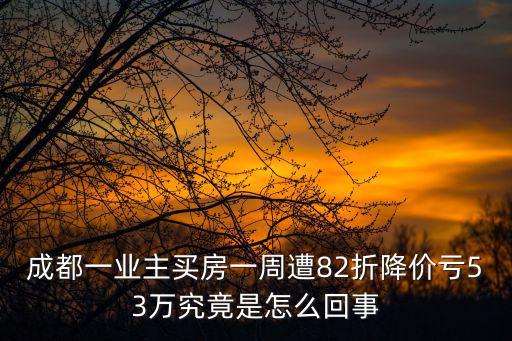 成都一業(yè)主買房一周遭82折降價虧53萬究竟是怎么回事