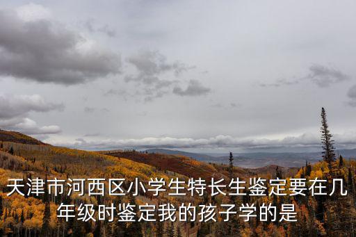 天津市河西區(qū)小學生特長生鑒定要在幾年級時鑒定我的孩子學的是