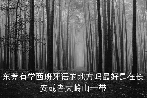 東莞有學西班牙語的地方嗎最好是在長安或者大嶺山一帶