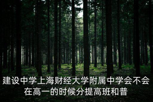 建設中學上海財經大學附屬中學會不會在高一的時候分提高班和普