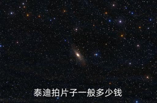 泰迪拍片子一般多少錢(qián)
