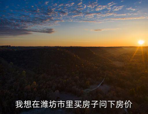 我想在濰坊市里買房子問下房價